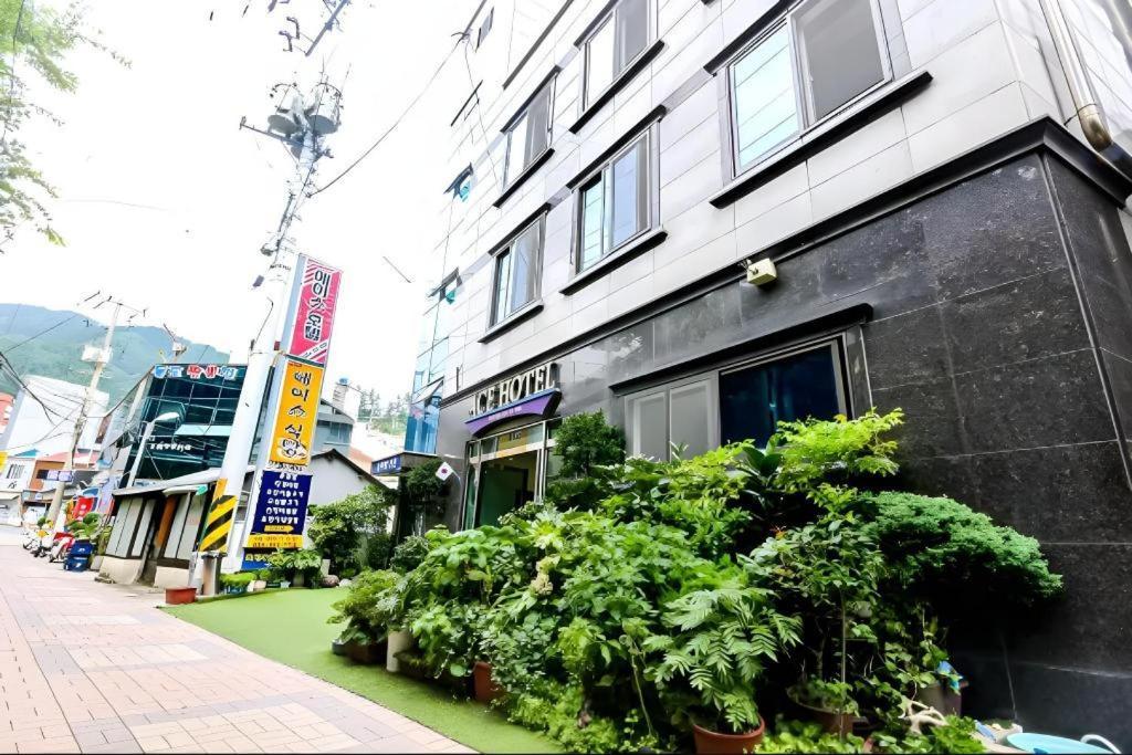 Ace Hotel Ulleungdo Екстериор снимка
