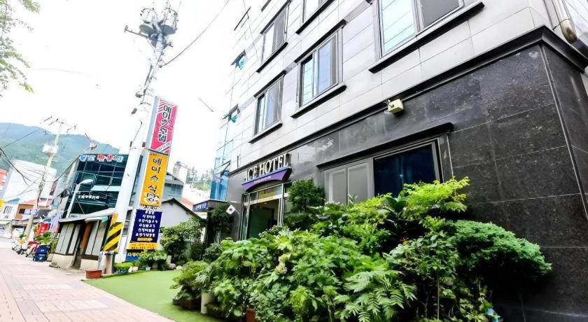 Ace Hotel Ulleungdo Екстериор снимка